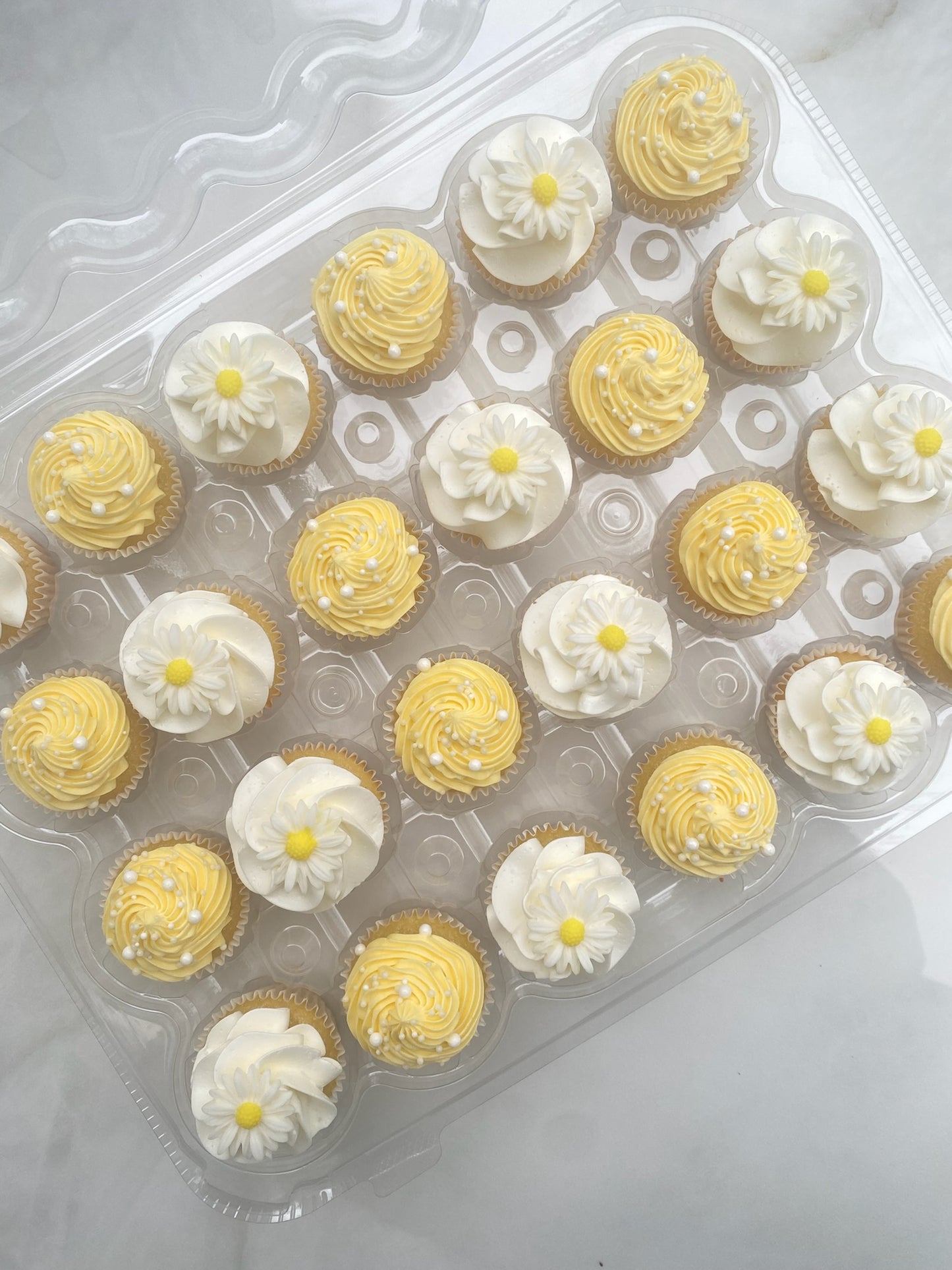 Mini Cupcakes 1 swirl-Pick up only