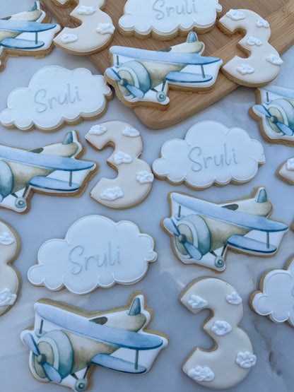 Vintage airplane cookie set/ 2 dozen