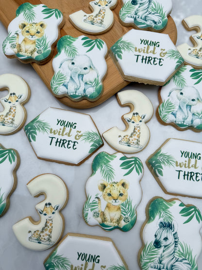 Safari birthday themed cookies  - 2 dozen