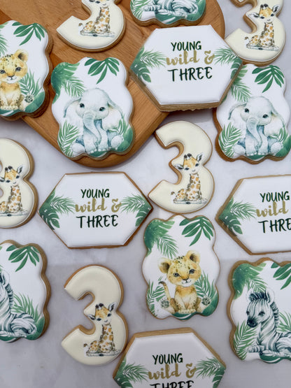 Safari birthday themed cookies  - 2 dozen