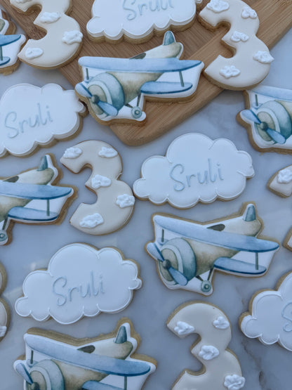 Vintage airplane cookie set/ 2 dozen