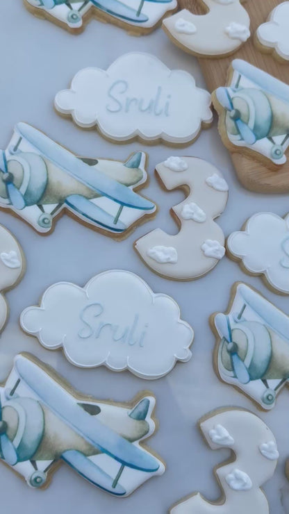 Vintage airplane cookie set/ 2 dozen